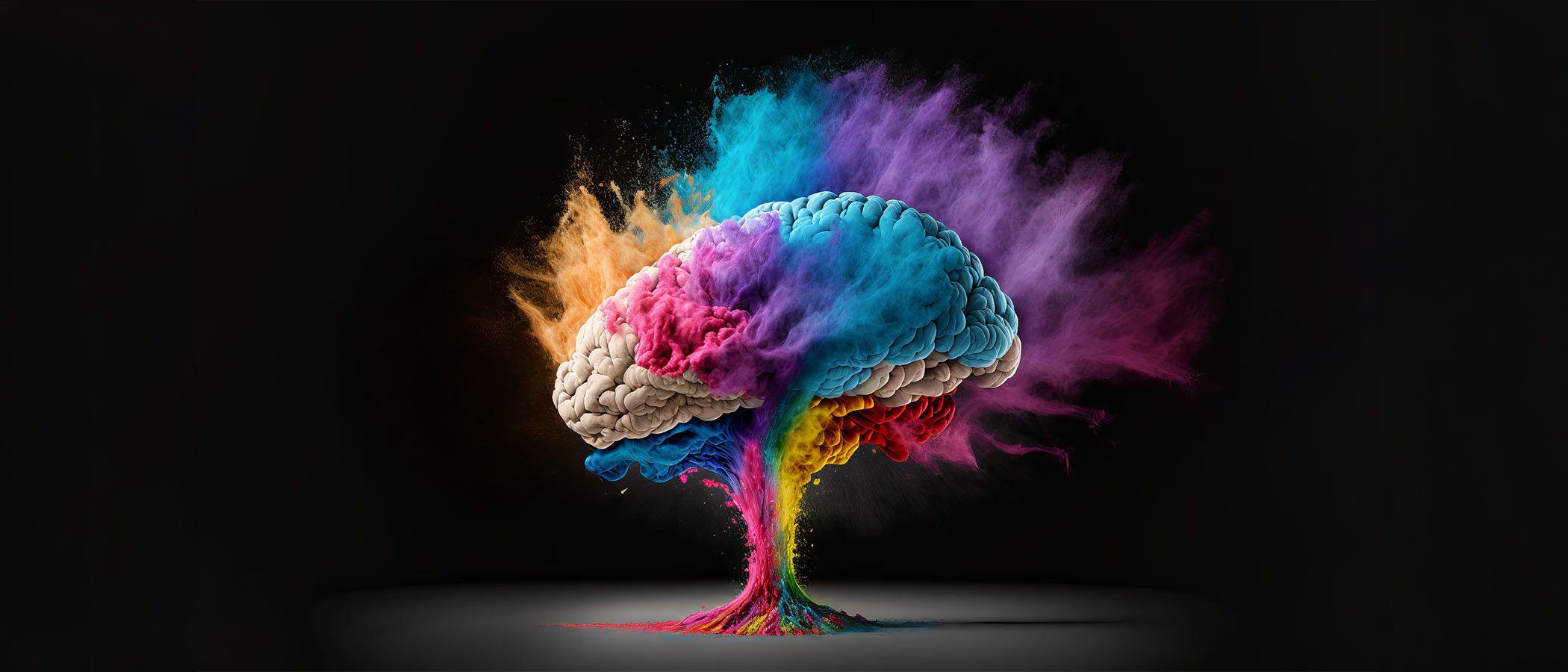 Make Smarter Decisions with NEON Analytics Platform