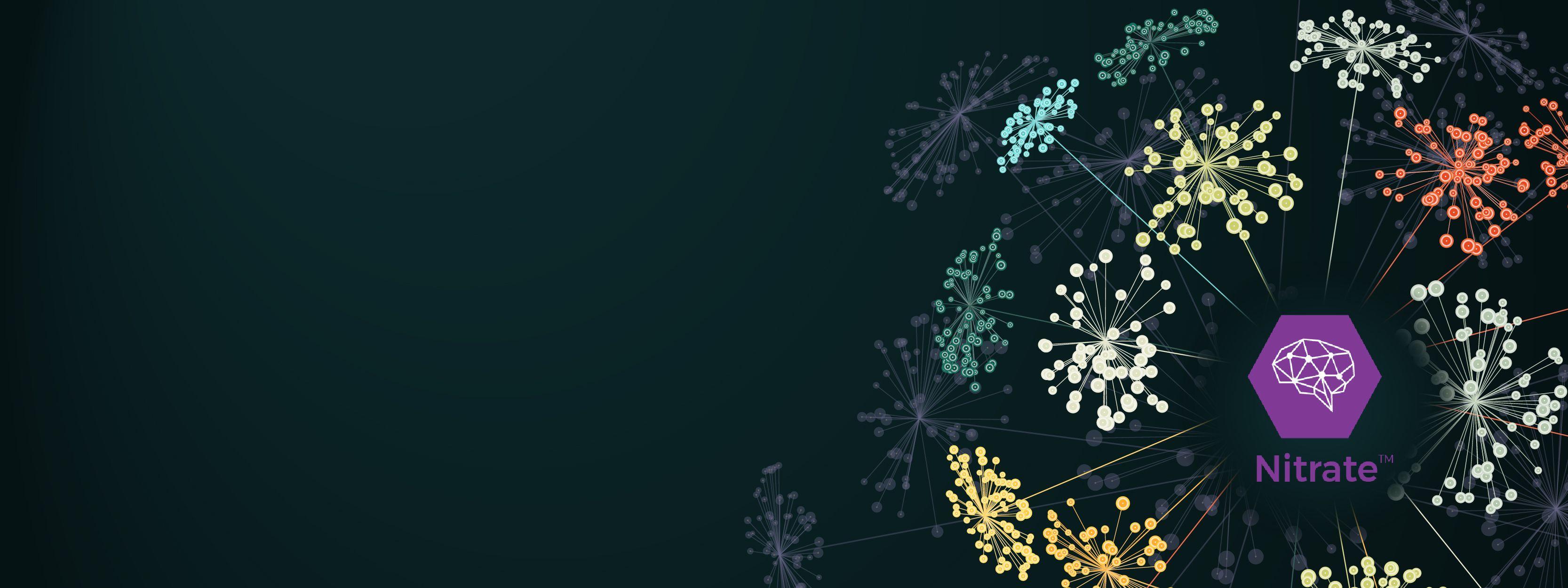 Drive Smarter Business Decisions with Data Observability